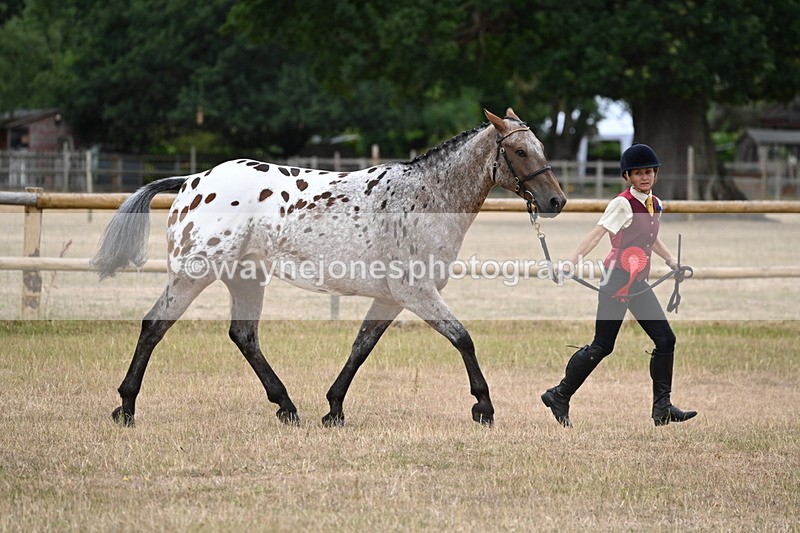 WJ6_8523 - Class 10 Coloured in Hand