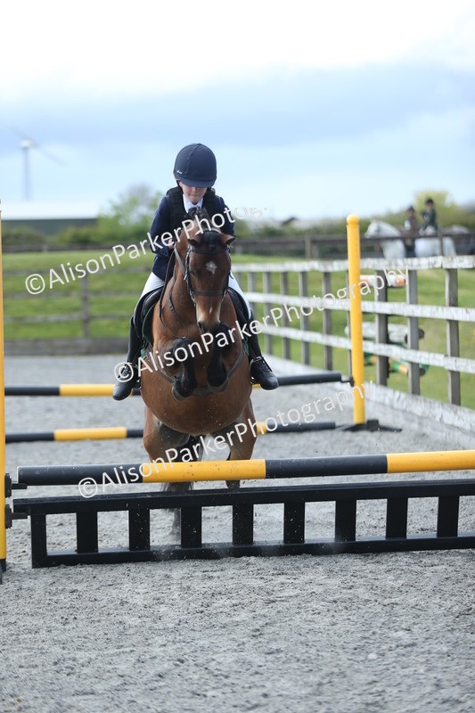 20260412-1788 - Show Jumping