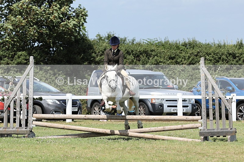 JPP_2231 - Class 19: Working Hunter 60cm