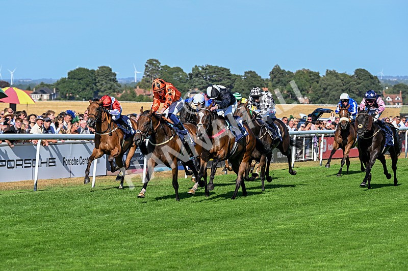120826-Race 6-Rumble Ruby-7476 - Race 6 16.45pm Nation Radio Yorkshire Handicap