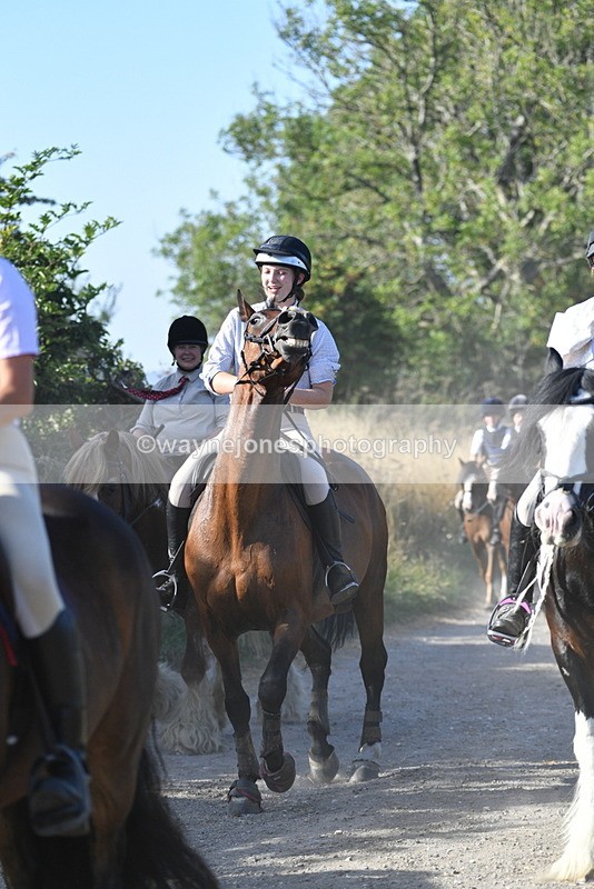 WJ5_4932 - Walk out with the hounds