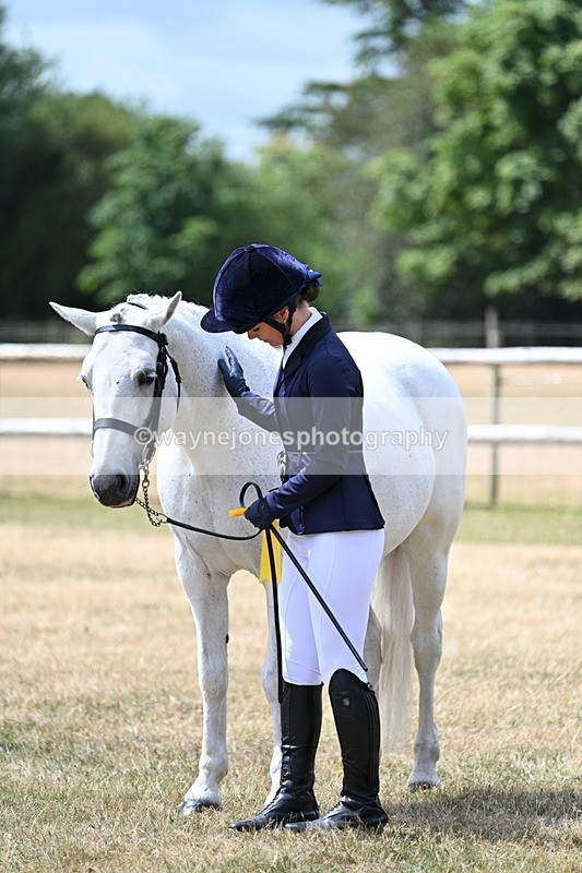 WJ7_1749 - Class 4 Prettiest Mare up to 14.2hh in hand