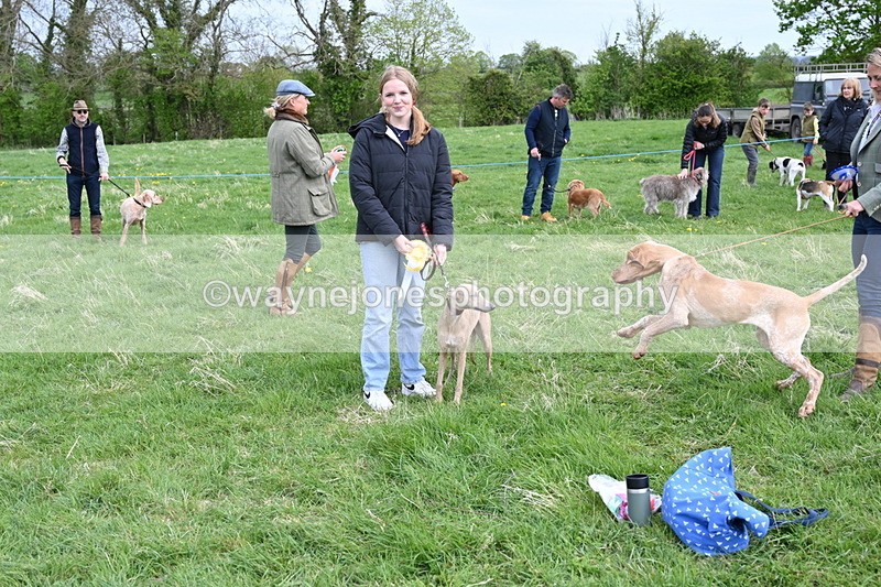 WJ6_8171 - Class 2 Best Pedigree