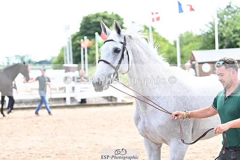 240717A-144119-02200 - Trot Up 2pm to 3pm - This folder is not in time order