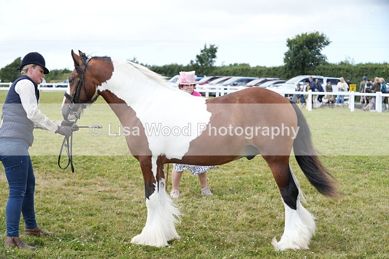 DSC06753 - Class 58: Coloured Pony Youngstock
