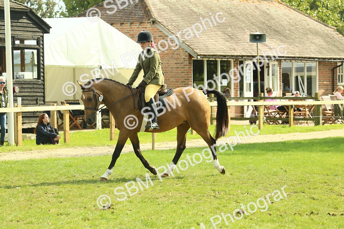 SBM_68861 - S58 - Mini Show Cob Ridden