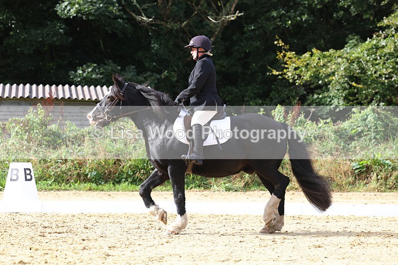 3E7A2326 - Class 1: Intro 4 2024 section A