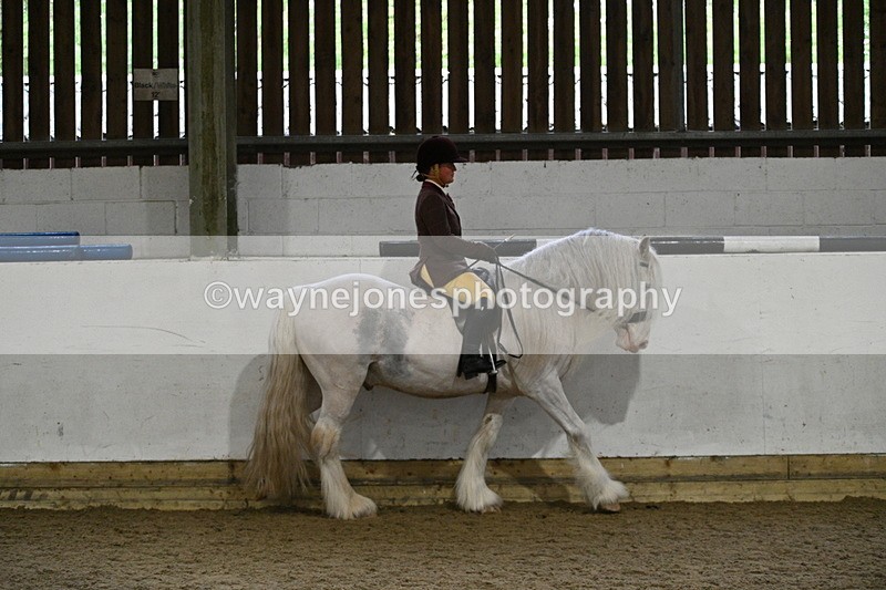 WJ7_3762 - Class 17 Ridden Cob