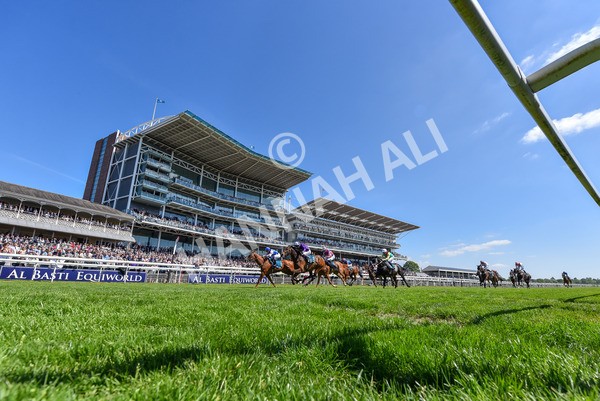 160525-Race 2-Thunder Run-2633 - Race 2 2.42pm Knights Solicitors Handicap