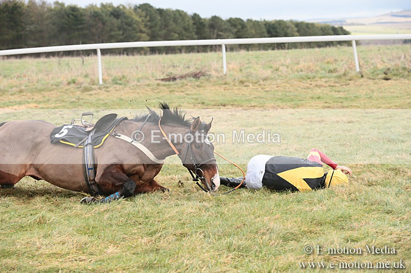 PtP 230119 65 - Royal Artillery Point-to-Point  - Larkhill  - 26/01/19