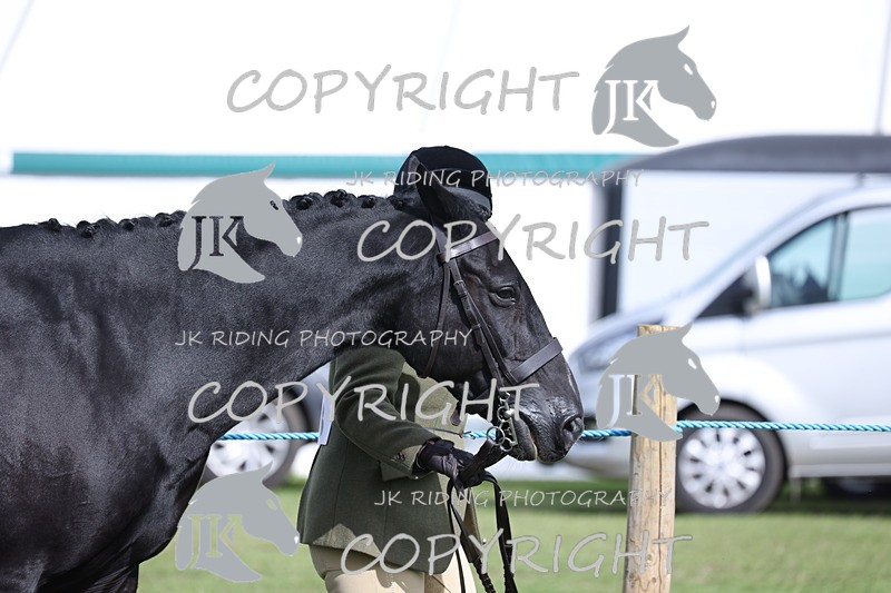 APP_2567 - Class 9 Veterans in hand