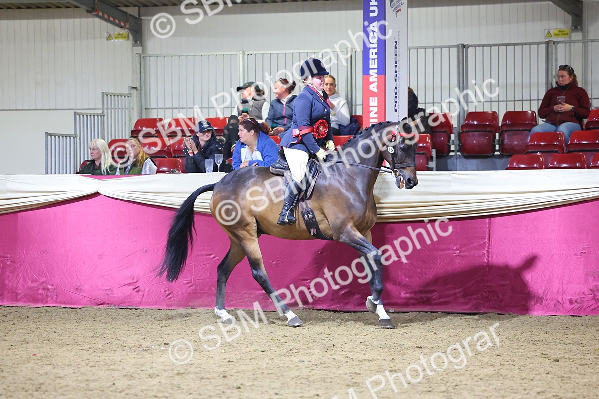 0B8A4293 - Class 108Ridden Retired Racehorse- Final Judging