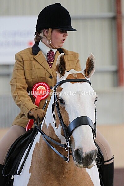 SIAL1992 - Indoor Classes