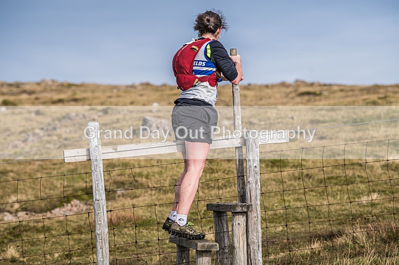 Buttermere-465 - Buttermere Shepherds Meet Fell Race Sunday 27th October 2024