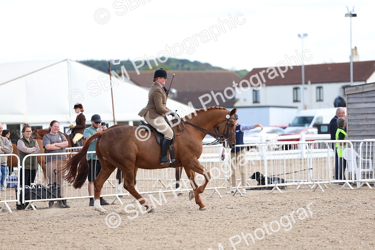 SBM_17198 - Class 315 - Best Horse - Rider Combination