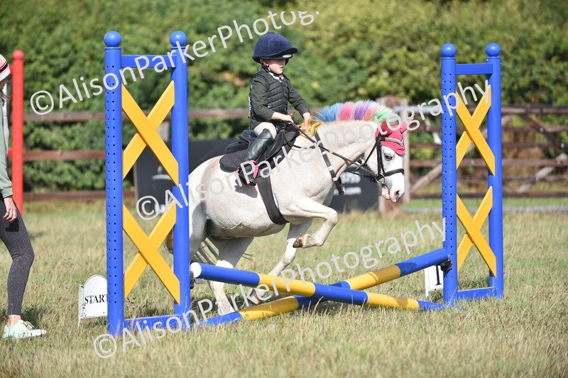 20260906-0971 - Class 7 - Absolute Novice Jumping 35cm