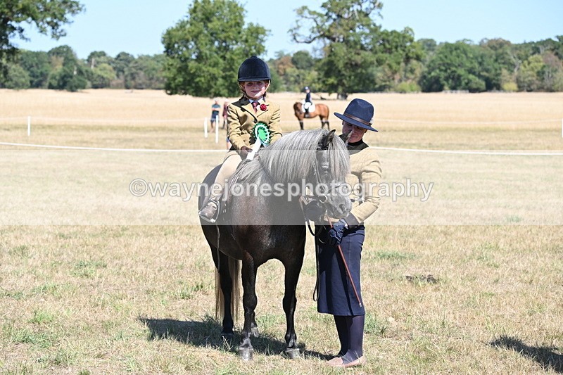 WJ6_8152 - Class 36 Lead Rein