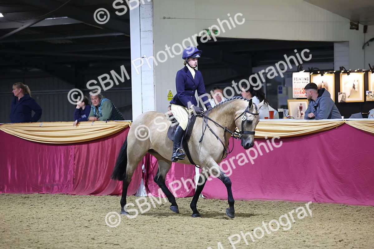 0B8A4585 - Class Q Style & Performance Champ