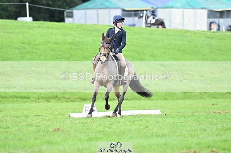 231020-161426-11634 - 558-BATHLEYHILLS.GOLDEN.SPRAY-Cleo.Whitbread-DR