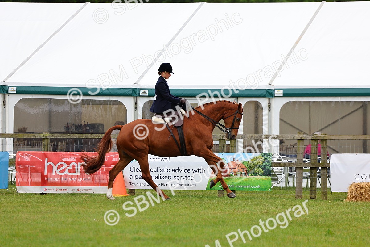 SBM_02951 - Class 9-11 Side Saddle including LIHS Rising Star Ladies Show Horse