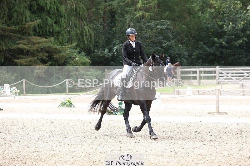 230812-123436-04045 - Cls 5 Novice Bronze 11.15 to 12.50 break