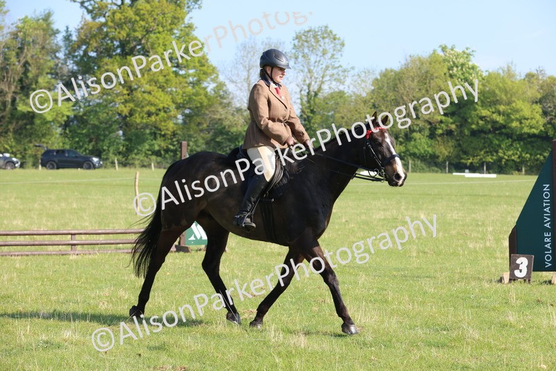 20250427-0546 - Class 17 - Novice Showing