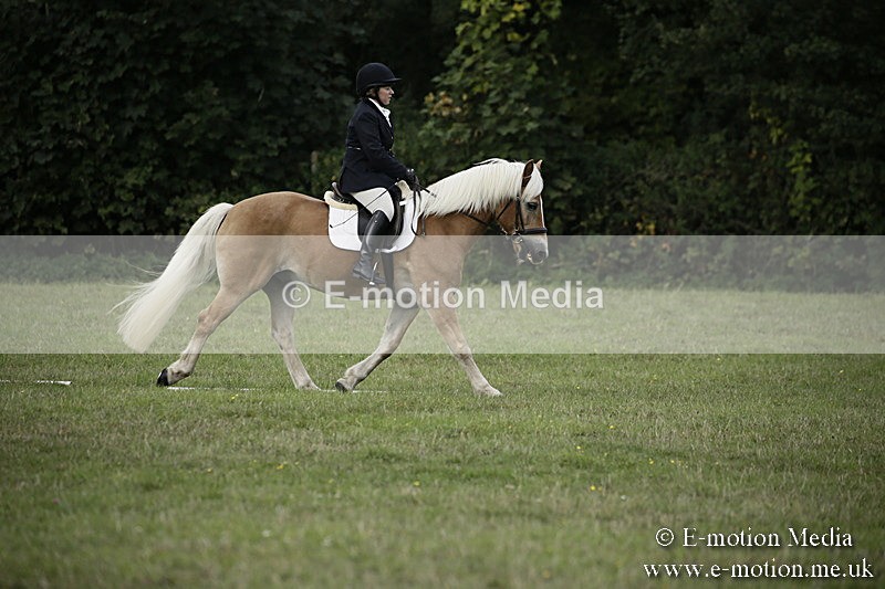 BVR090918 54 - BVRC Dressage and Show Jumping 09/09/18