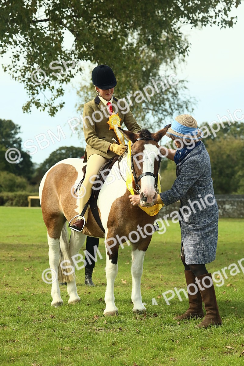 SBM_68133 - S57 - Part Bred Pony Ridden