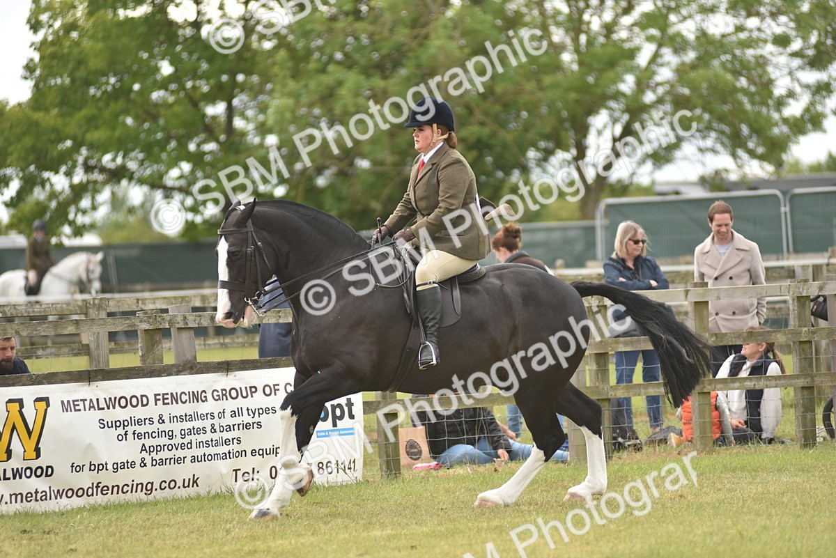 SBM_17750 - Class 122-123 - LIHS BHSA Raising Star Style and Performance Series