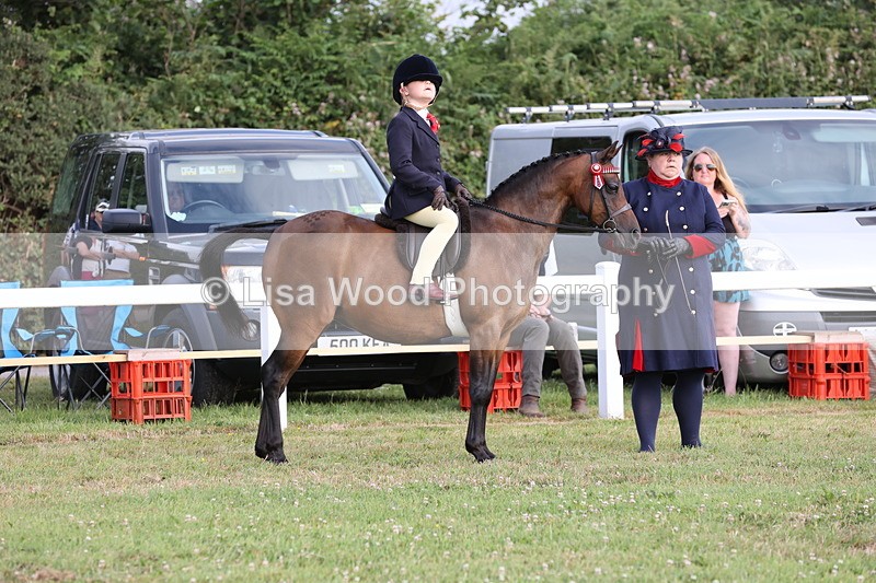 JPP_0245 - Class 14: Cornish Combination Leading Rein
