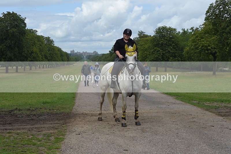 TT3_0361 - Time at Crossing 13:17 to 14:48