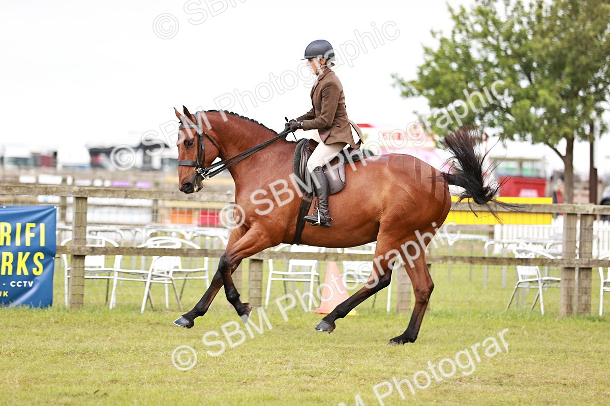 SBM_10789 - Class 81-84 - RIHS Ridden hunters Inc Ladies Hunter