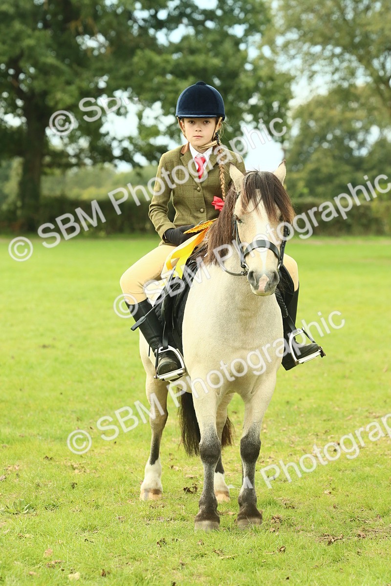 SBM_70043 - S59 - Mountain & Moorland Ridden Small Breeds