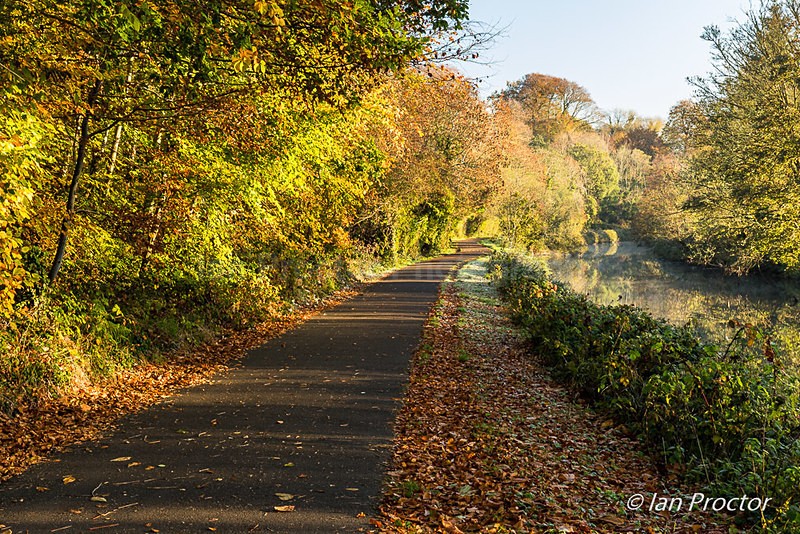 Autumn Morning on Lagan Towpath - Autumn