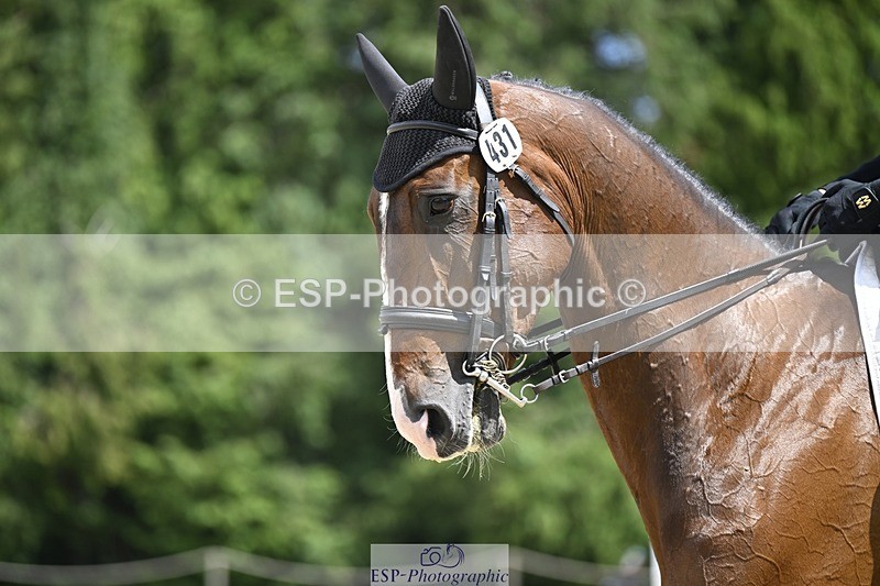 240523-142513-04990 - 431-LONESTAR-Thomas_Hawke