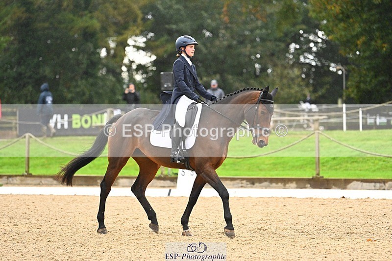 231021-121501-15095 - 347-SHANBEG.PANDORA-Alice.Gates-DR