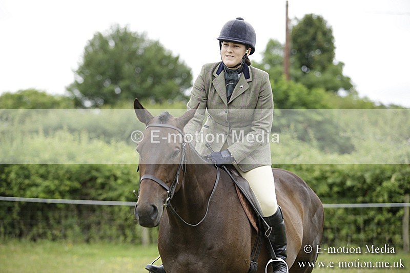 BVR160717-477 - Ring 1 BVRC Show 16/07/17