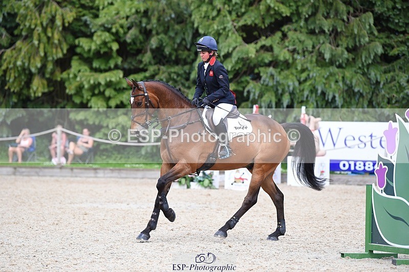 230528-154316-19173 - 132-OGUE_VERDI-Kitty_King-SUNTrotUp+SJ