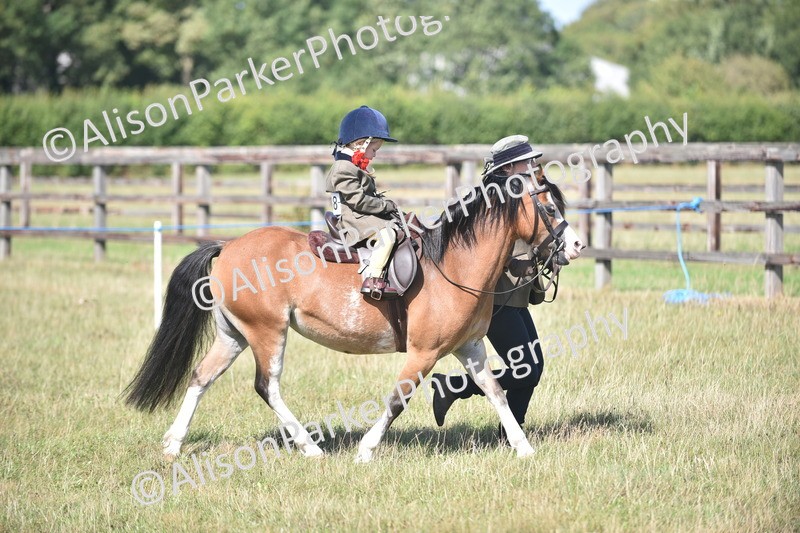 20260906-1735 - Class 11 - 13hh and Under