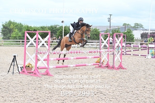 BPP_2993 - CLASS 7 Pony Discovery / 90cm Open