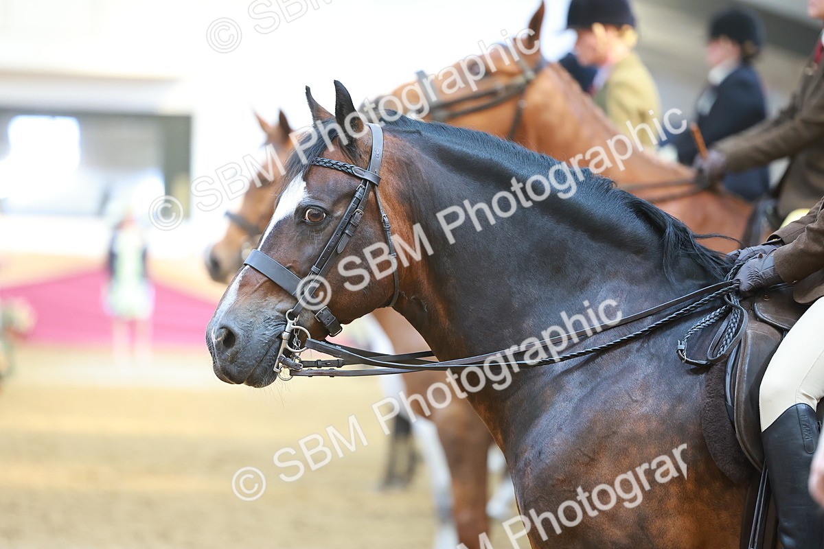 SBM_12518 - Class 103 - HOYS Veteran Qualifier - Ridden Pre Vet