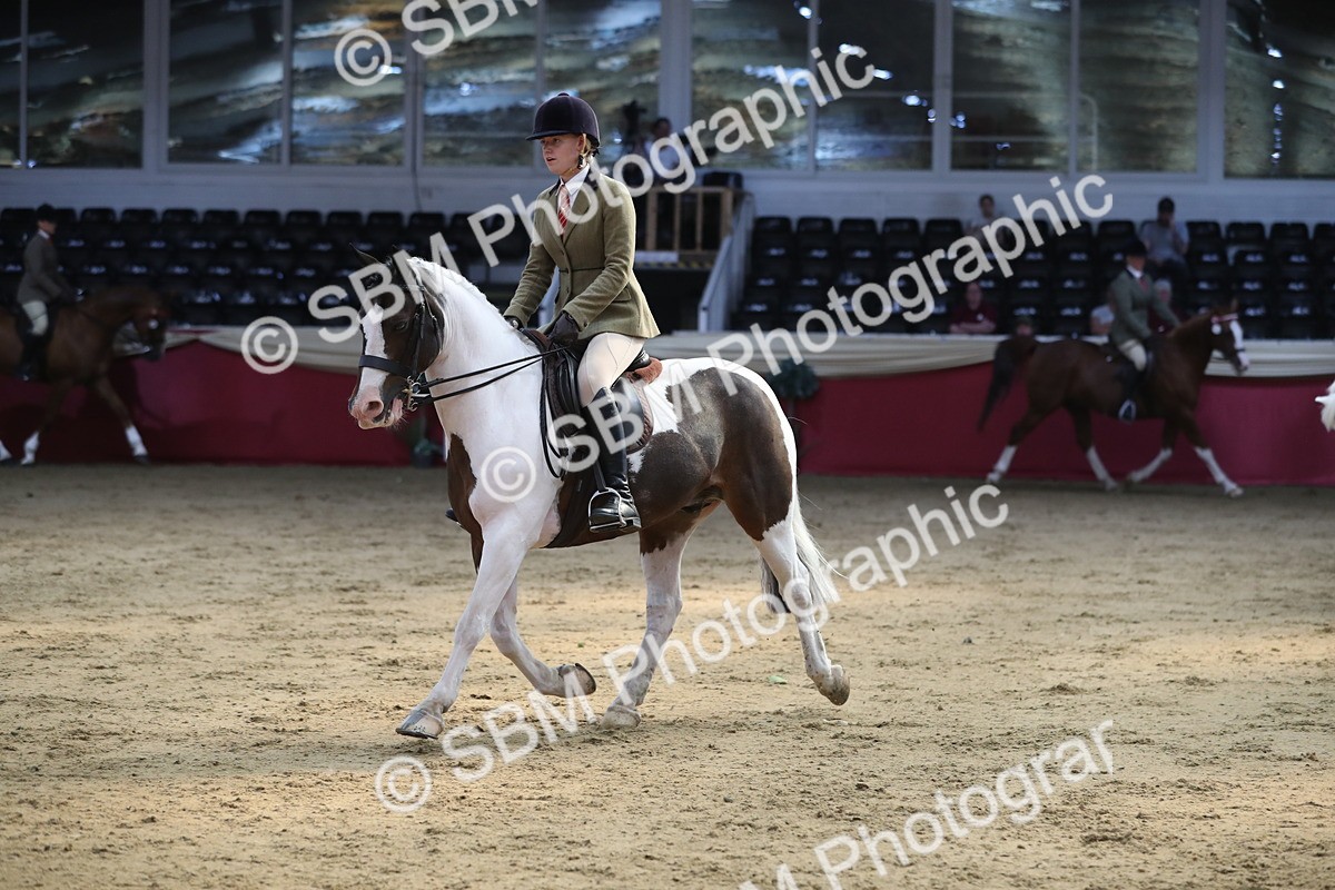 SBM_08334 - Class 11R Regional Ridden Veteran