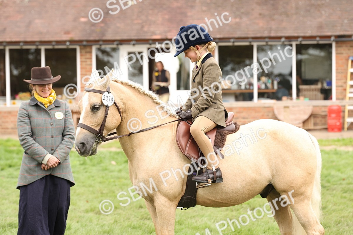 SBM_63034 - S64 - Foreign Breeds Ridden