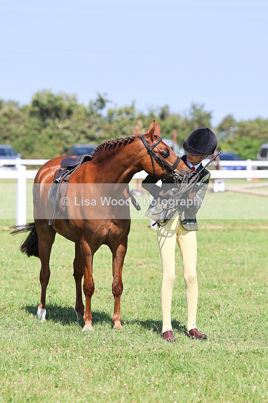 IMG_2028 - Class 34: Show Hunter Pony 153cm and under