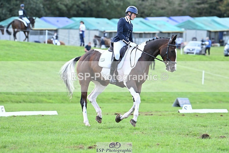 231020-145304-11007 - 669-FOXRIDGE.HIGH.JINX-Claire.Deuten-DR