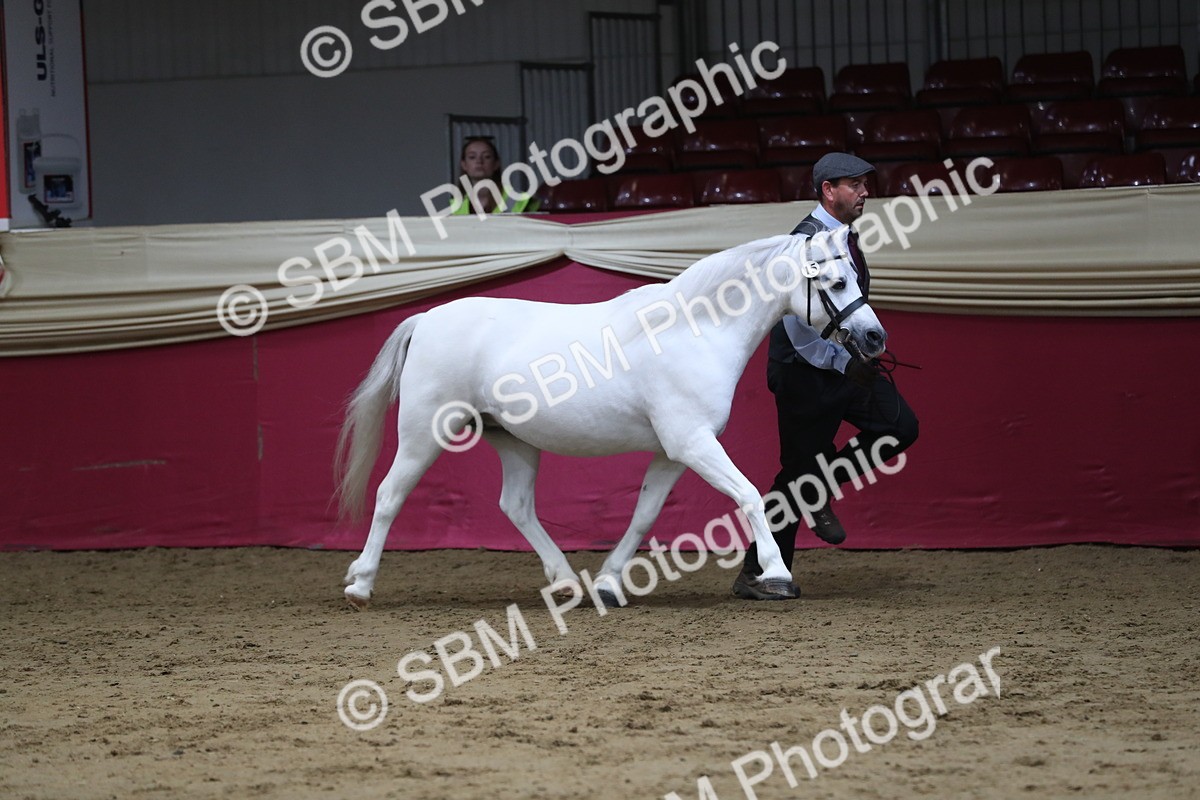SBM_06340 - Class 9R Regional- IH Pre Vet