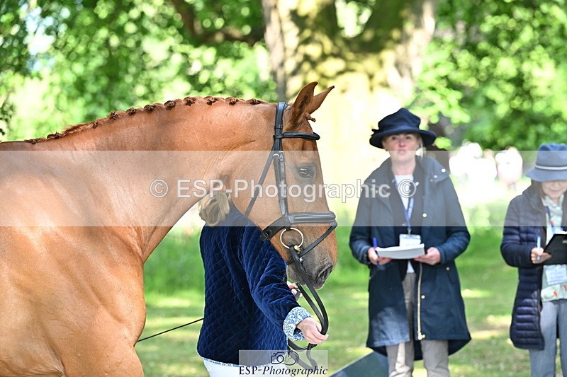 250521A-164859-01352 - C-263-Gini.Hope-PETER.PAN