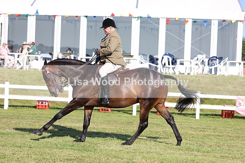 3E7A5458 - Class 2: Rising Star Large Hack/Riding Horse