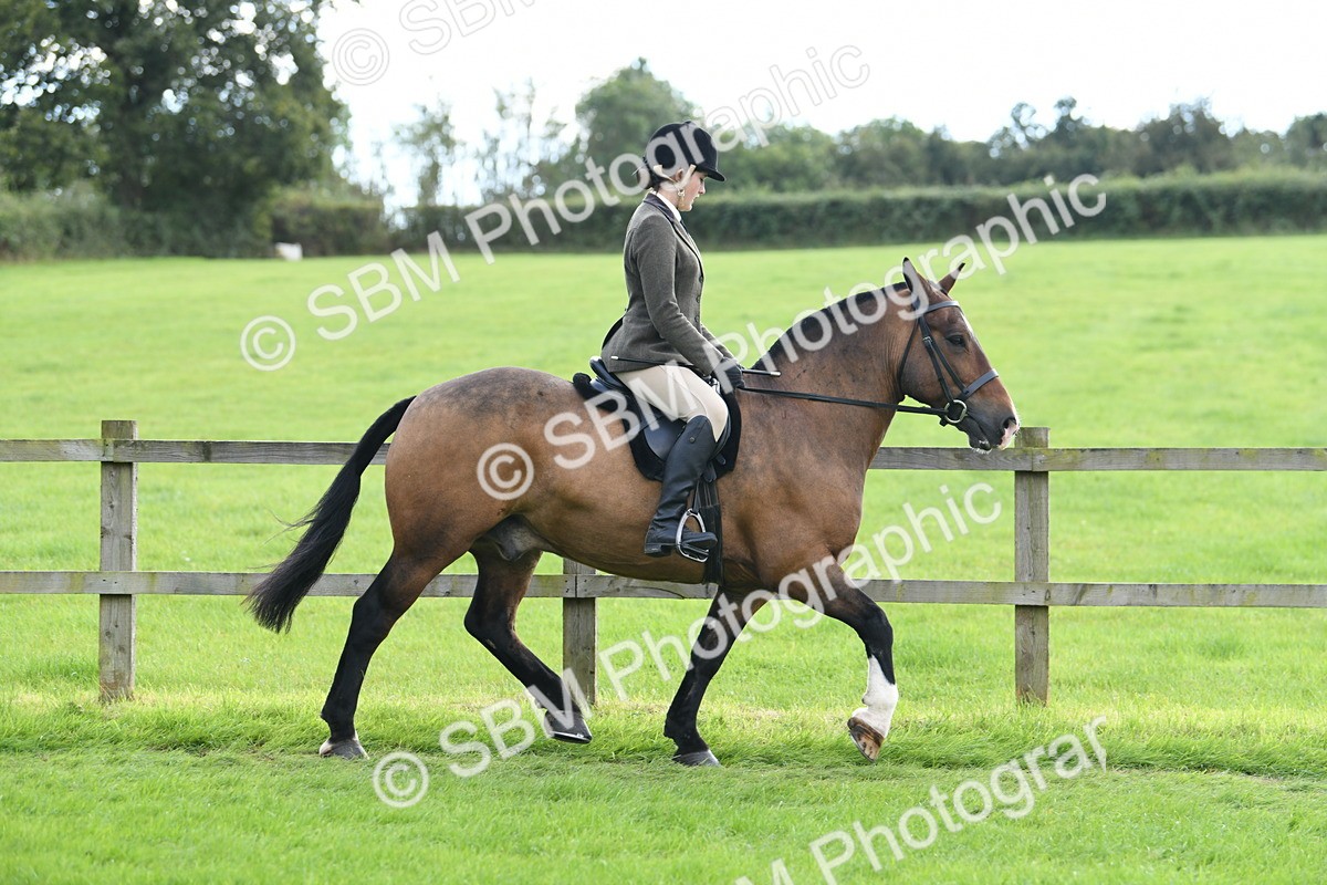 SBM_46727 - S12 - Family Horse & Pony