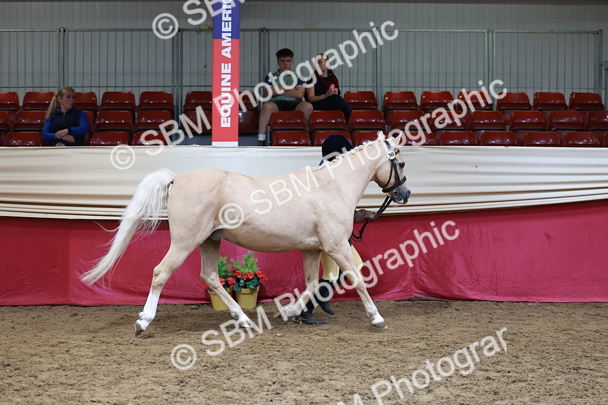 SBM_17402 - Class 951 - M&M IH Supreme Final